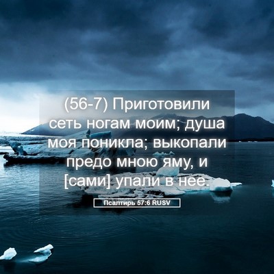 Picture 05 - Псалтирь 57:6 RUSV - (56-7) Приготовили сеть ногам - Bible Verse Picture