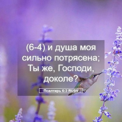Picture 05 - Псалтирь 6:3 RUSV - (6-4) и душа моя сильно - Bible Verse Picture