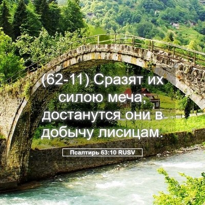 Picture 05 - Псалтирь 63:10 RUSV - (62-11) Сразят их силою меча; - Bible Verse Picture