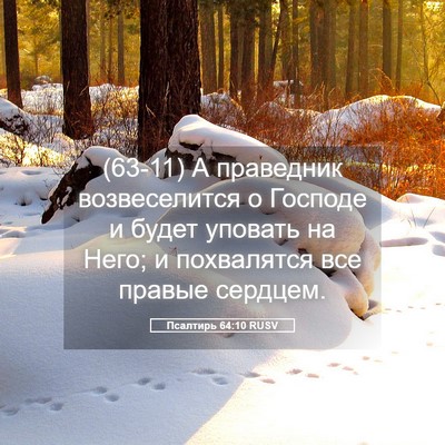 Picture 05 - Псалтирь 64:10 RUSV - (63-11) А праведник - Bible Verse Picture