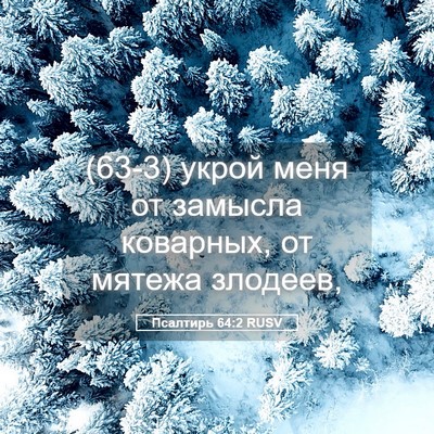 Picture 05 - Псалтирь 64:2 RUSV - (63-3) укрой меня от замысла - Bible Verse Picture