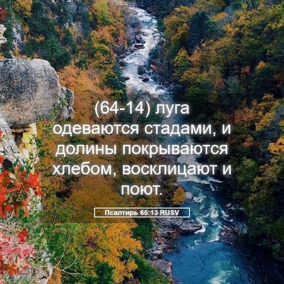 Picture 05 - Псалтирь 65:13 RUSV - (64-14) луга одеваются - Bible Verse Picture