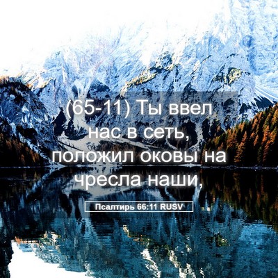 Picture 05 - Псалтирь 66:11 RUSV - (65-11) Ты ввел нас в сеть, - Bible Verse Picture