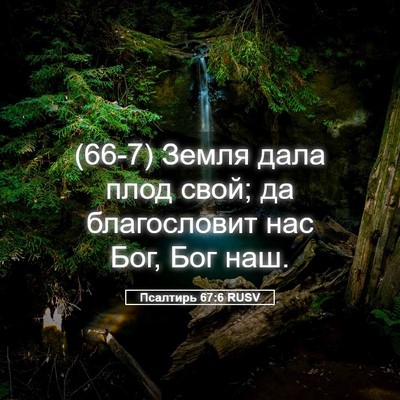 Picture 05 - Псалтирь 67:6 RUSV - (66-7) Земля дала плод свой; - Bible Verse Picture