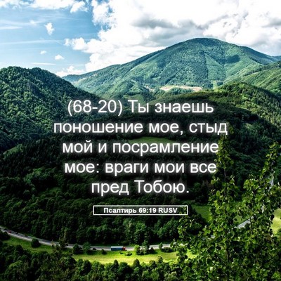 Picture 05 - Псалтирь 69:19 RUSV - (68-20) Ты знаешь поношение - Bible Verse Picture