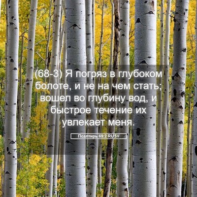 Picture 05 - Псалтирь 69:2 RUSV - (68-3) Я погряз в глубоком - Bible Verse Picture