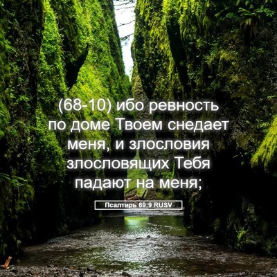 Picture 05 - Псалтирь 69:9 RUSV - (68-10) ибо ревность по доме - Bible Verse Picture