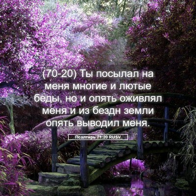Picture 05 - Псалтирь 71:20 RUSV - (70-20) Ты посылал на меня - Bible Verse Picture