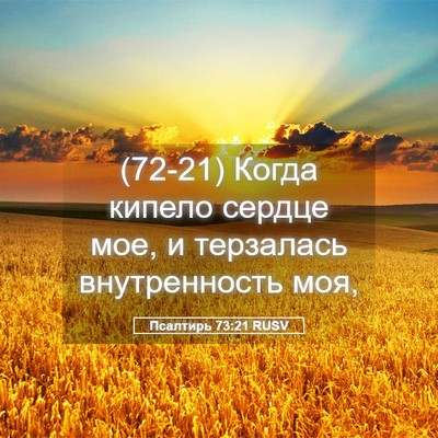 Picture 05 - Псалтирь 73:21 RUSV - (72-21) Когда кипело сердце - Bible Verse Picture