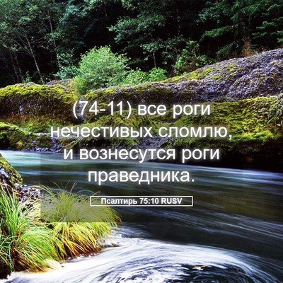 Picture 05 - Псалтирь 75:10 RUSV - (74-11) все роги нечестивых - Bible Verse Picture
