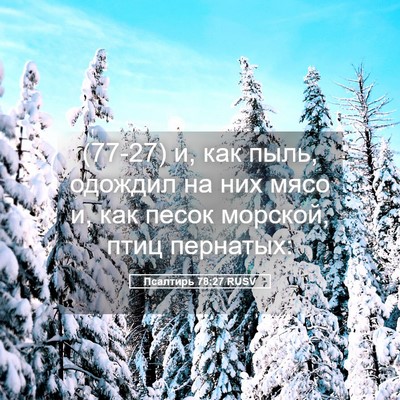 Picture 05 - Псалтирь 78:27 RUSV - (77-27) и, как пыль, одождил на - Bible Verse Picture