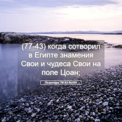 Picture 05 - Псалтирь 78:43 RUSV - (77-43) когда сотворил в - Bible Verse Picture