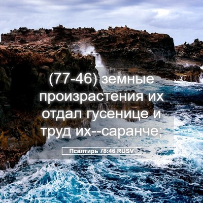 Picture 05 - Псалтирь 78:46 RUSV - (77-46) земные произрастения - Bible Verse Picture