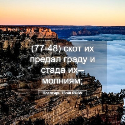 Picture 05 - Псалтирь 78:48 RUSV - (77-48) скот их предал граду и - Bible Verse Picture