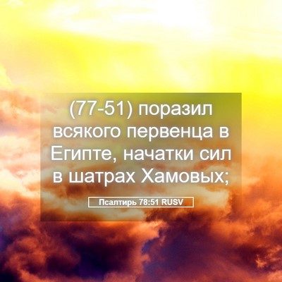 Picture 05 - Псалтирь 78:51 RUSV - (77-51) поразил всякого - Bible Verse Picture