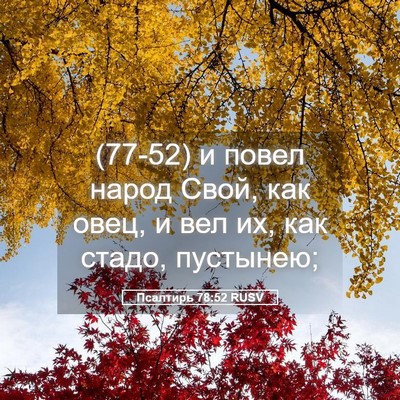 Picture 05 - Псалтирь 78:52 RUSV - (77-52) и повел народ Свой, как - Bible Verse Picture