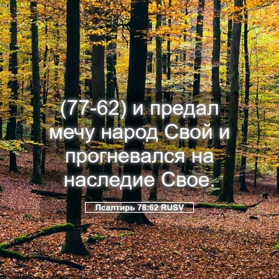 Picture 05 - Псалтирь 78:62 RUSV - (77-62) и предал мечу народ - Bible Verse Picture