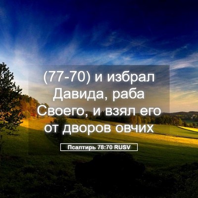 Picture 05 - Псалтирь 78:70 RUSV - (77-70) и избрал Давида, раба - Bible Verse Picture