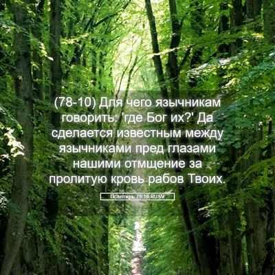 Picture 05 - Псалтирь 79:10 RUSV - (78-10) Для чего язычникам - Bible Verse Picture