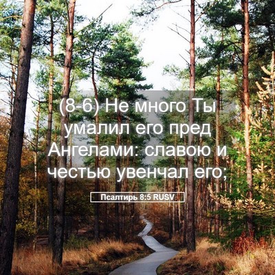 Picture 05 - Псалтирь 8:5 RUSV - (8-6) Не много Ты умалил его - Bible Verse Picture