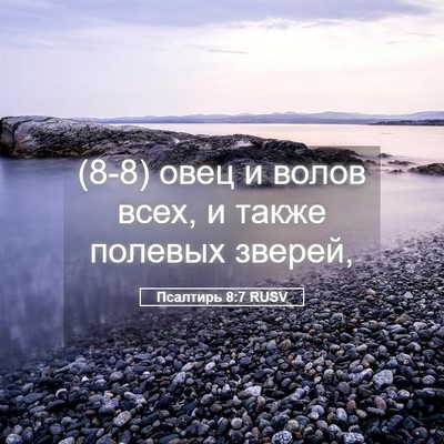 Picture 05 - Псалтирь 8:7 RUSV - (8-8) овец и волов всех, и - Bible Verse Picture