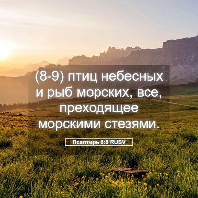 Picture 05 - Псалтирь 8:8 RUSV - (8-9) птиц небесных и рыб - Bible Verse Picture