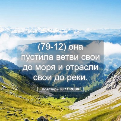 Picture 05 - Псалтирь 80:11 RUSV - (79-12) она пустила ветви свои - Bible Verse Picture
