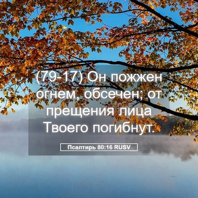 Picture 05 - Псалтирь 80:16 RUSV - (79-17) Он пожжен огнем, - Bible Verse Picture