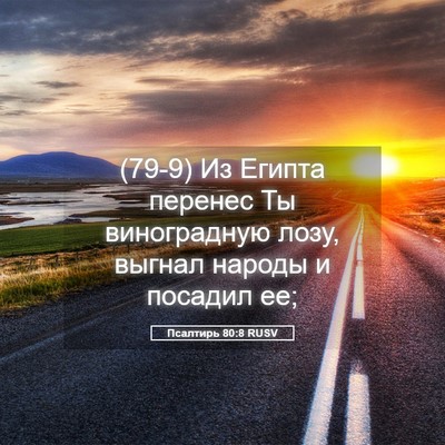 Picture 05 - Псалтирь 80:8 RUSV - (79-9) Из Египта перенес Ты - Bible Verse Picture