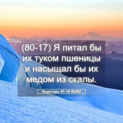 Picture 05 - Псалтирь 81:16 RUSV - (80-17) Я питал бы их туком - Bible Verse Picture