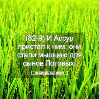 Picture 05 - Псалтирь 83:8 RUSV - (82-9) И Ассур пристал к ним: - Bible Verse Picture