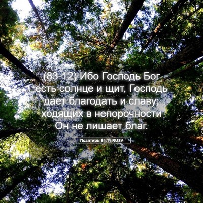 Picture 05 - Псалтирь 84:11 RUSV - (83-12) Ибо Господь Бог есть - Bible Verse Picture