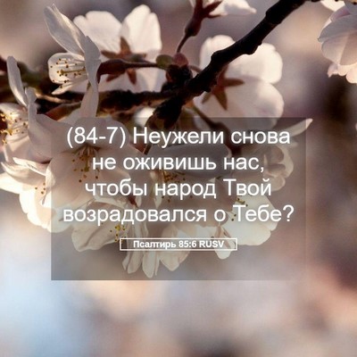 Picture 05 - Псалтирь 85:6 RUSV - (84-7) Неужели снова не - Bible Verse Picture