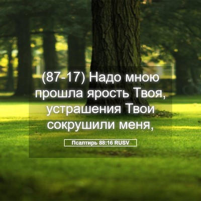 Picture 05 - Псалтирь 88:16 RUSV - (87-17) Надо мною прошла - Bible Verse Picture