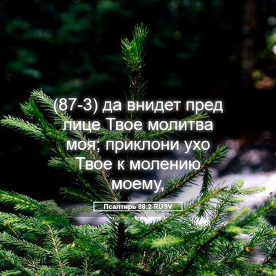 Picture 05 - Псалтирь 88:2 RUSV - (87-3) да внидет пред лице - Bible Verse Picture