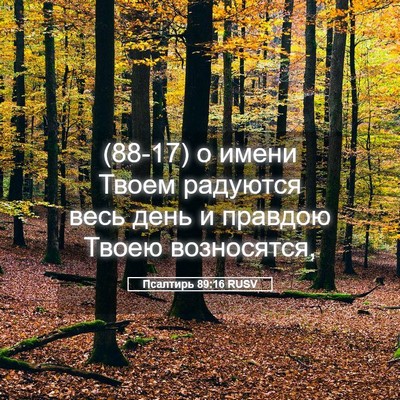 Picture 05 - Псалтирь 89:16 RUSV - (88-17) о имени Твоем радуются - Bible Verse Picture