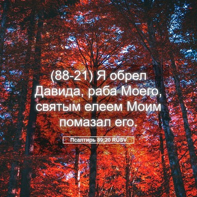 Picture 05 - Псалтирь 89:20 RUSV - (88-21) Я обрел Давида, раба - Bible Verse Picture