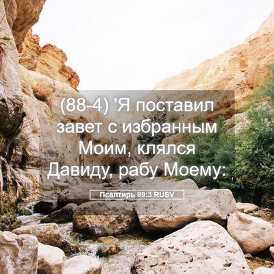 Picture 05 - Псалтирь 89:3 RUSV - (88-4) 'Я поставил завет с - Bible Verse Picture