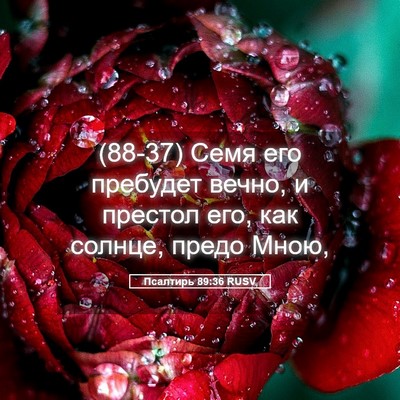 Picture 05 - Псалтирь 89:36 RUSV - (88-37) Семя его пребудет - Bible Verse Picture