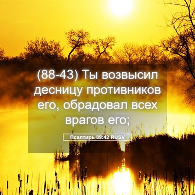 Picture 05 - Псалтирь 89:42 RUSV - (88-43) Ты возвысил десницу - Bible Verse Picture