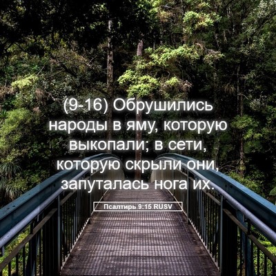 Picture 05 - Псалтирь 9:15 RUSV - (9-16) Обрушились народы в - Bible Verse Picture