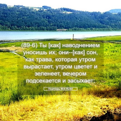 Picture 05 - Псалтирь 90:6 RUSV - (89-6) Ты [как] наводнением - Bible Verse Picture