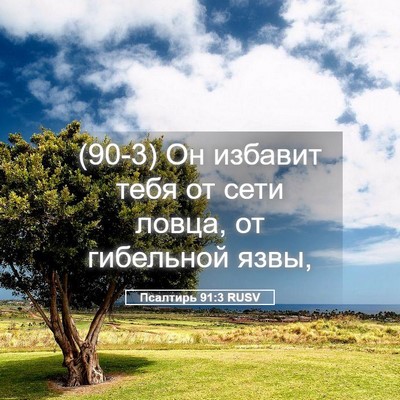 Picture 05 - Псалтирь 91:3 RUSV - (90-3) Он избавит тебя от сети - Bible Verse Picture