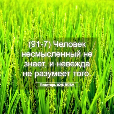 Picture 05 - Псалтирь 92:6 RUSV - (91-7) Человек несмысленный - Bible Verse Picture
