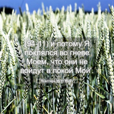 Picture 05 - Псалтирь 95:11 RUSV - (94-11) и потому Я поклялся во - Bible Verse Picture