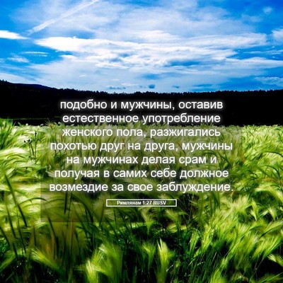Picture 05 - Римлянам 1:27 RUSV - подобно и мужчины, оставив - Bible Verse Picture