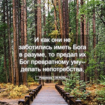 Picture 05 - Римлянам 1:28 RUSV - И как они не заботились - Bible Verse Picture