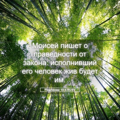 Picture 05 - Римлянам 10:5 RUSV - Моисей пишет о праведности - Bible Verse Picture