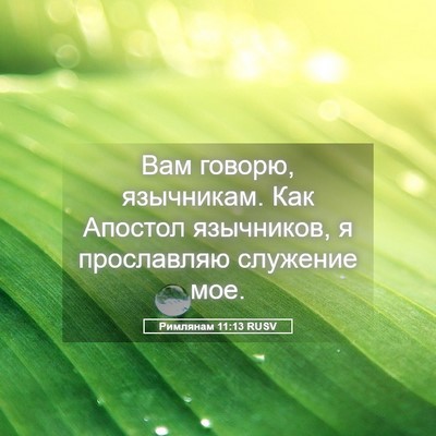 Picture 05 - Римлянам 11:13 RUSV - Вам говорю, язычникам. Как - Bible Verse Picture