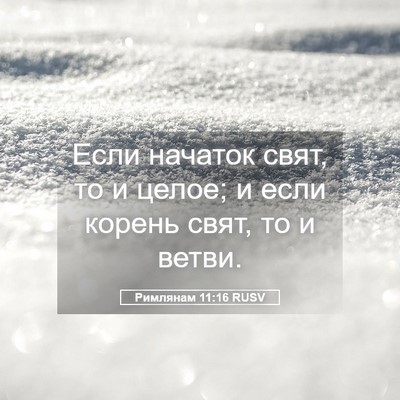 Picture 05 - Римлянам 11:16 RUSV - Если начаток свят, то и - Bible Verse Picture